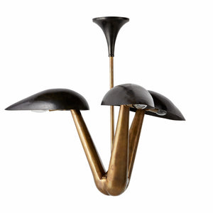 Arteriors - DMI11 - Three Light Chandelier - Everglades - Blackened Iron/Antique Brass