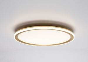 PageOne - PC111317-MBG - LED Flush Mount - Lucerio - Matte Brushed Imitation Gold