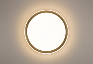 PageOne - PC111317-MBG - LED Flush Mount - Lucerio - Matte Brushed Imitation Gold