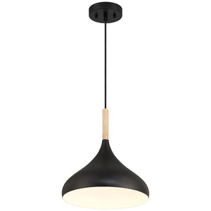 Access - 52086-BL/WGN - One Light Pendant - Olivia - Black