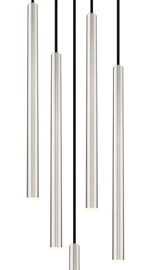 Z-Lite - 919MP24-5R-BN-LED - LED Chandelier - Forest - Brushed Nickel