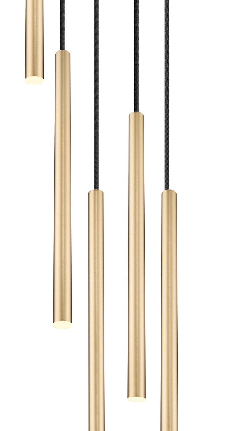 Z-Lite - 919MP24-5R-MGLD-LED - LED Chandelier - Forest - Modern Gold