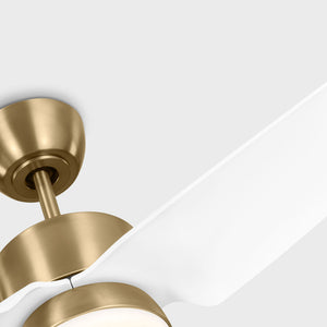 Visual Comfort Fan - 3CGR44SBD - 44" Ceiling Fan - Colgin 44 LED - Satin Brass