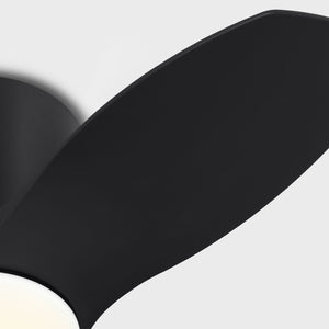 Generation Lighting - 3TTHR32MBKD - 32"Ceiling Fan - Titus 32 Hugger LED - Midnight Black