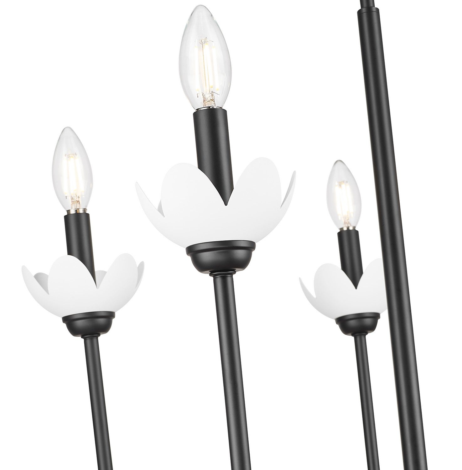 Z-Lite - 352-5MB - Five Light Chandelier - Allistair - Matte Black
