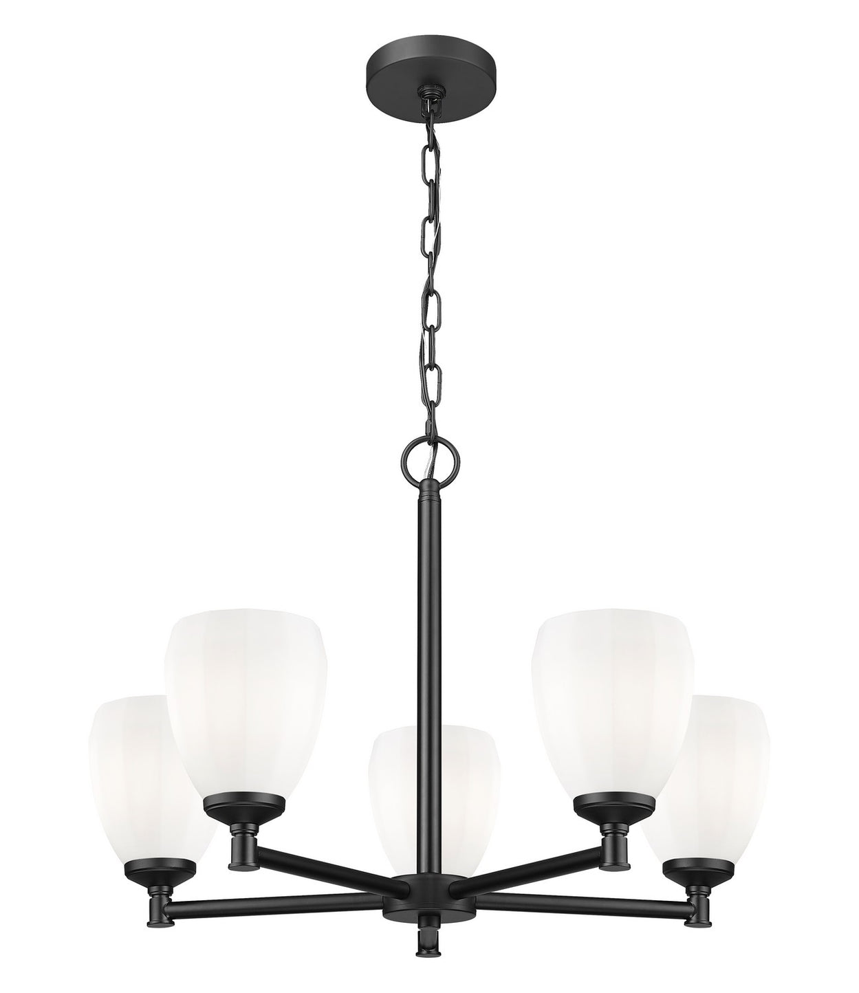 Z-Lite - 7004-5MB - Five Light Chandelier - Oren - Matte Black
