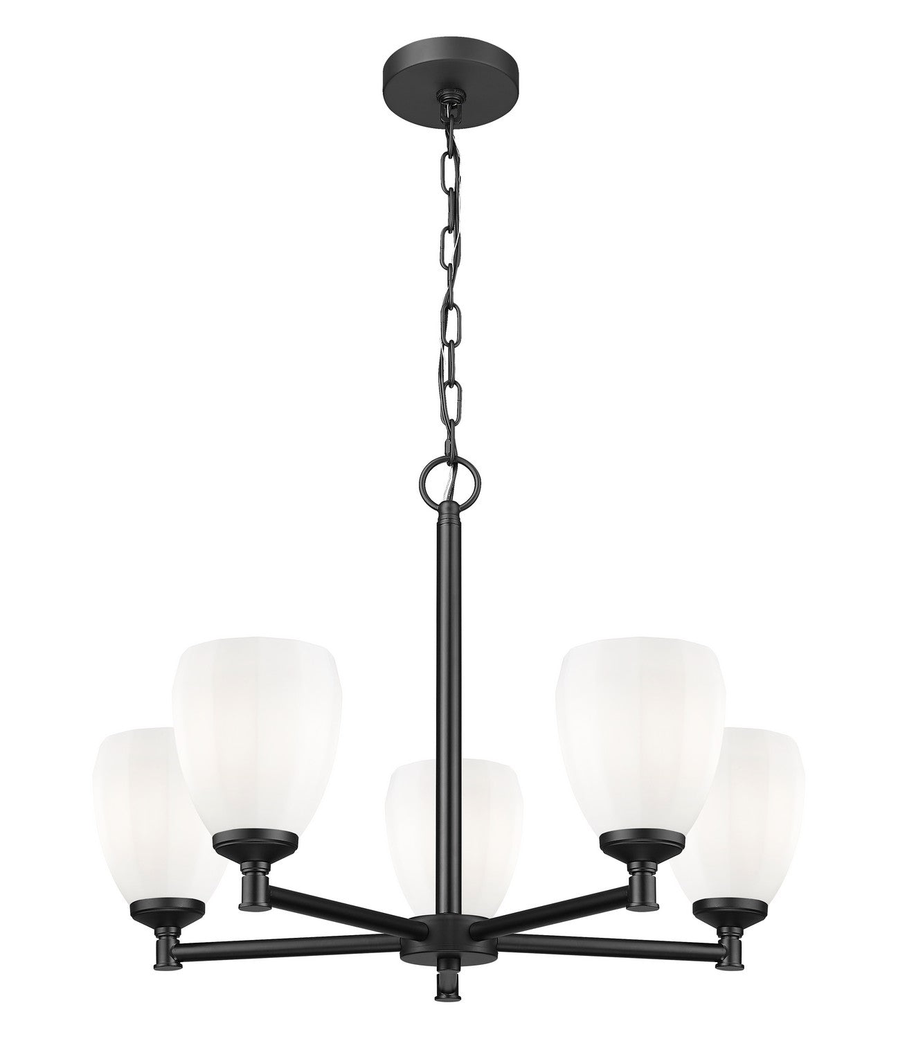 Z-Lite - 7004-5MB - Five Light Chandelier - Oren - Matte Black