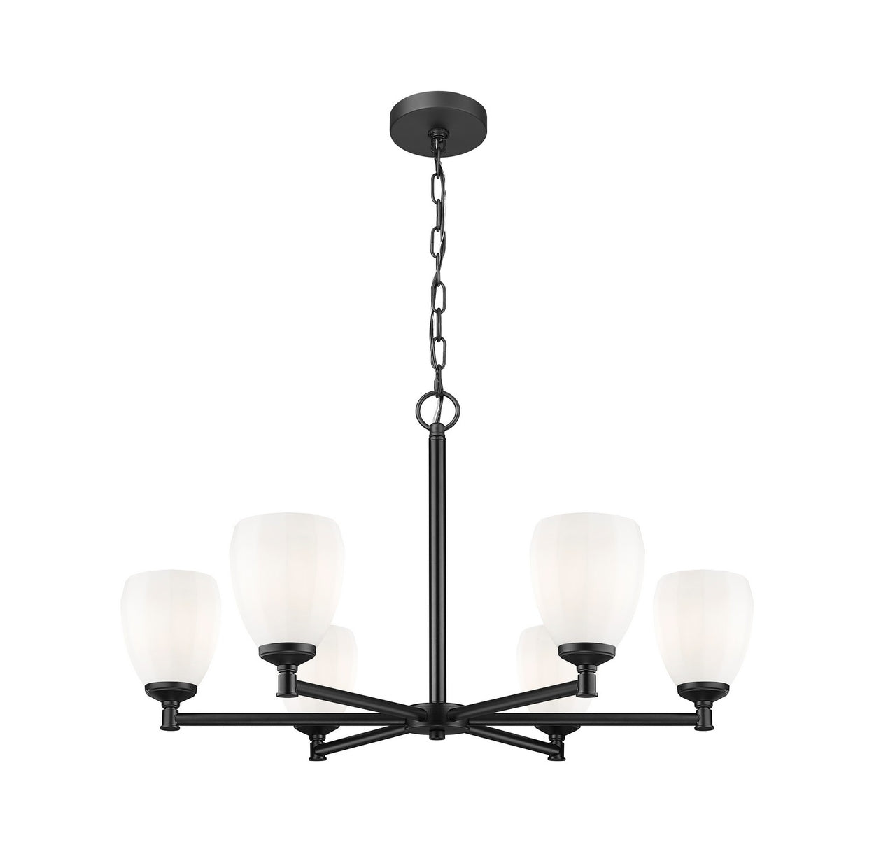 Z-Lite - 7004-6MB - Six Light Chandelier - Oren - Matte Black