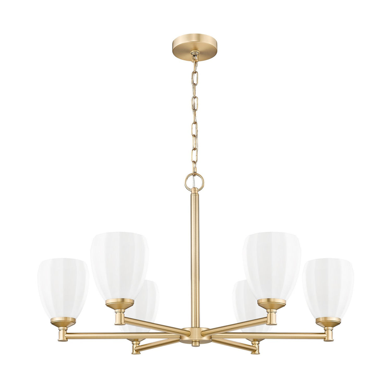 Z-Lite - 7004-6MGLD - Six Light Chandelier - Oren - Modern Gold