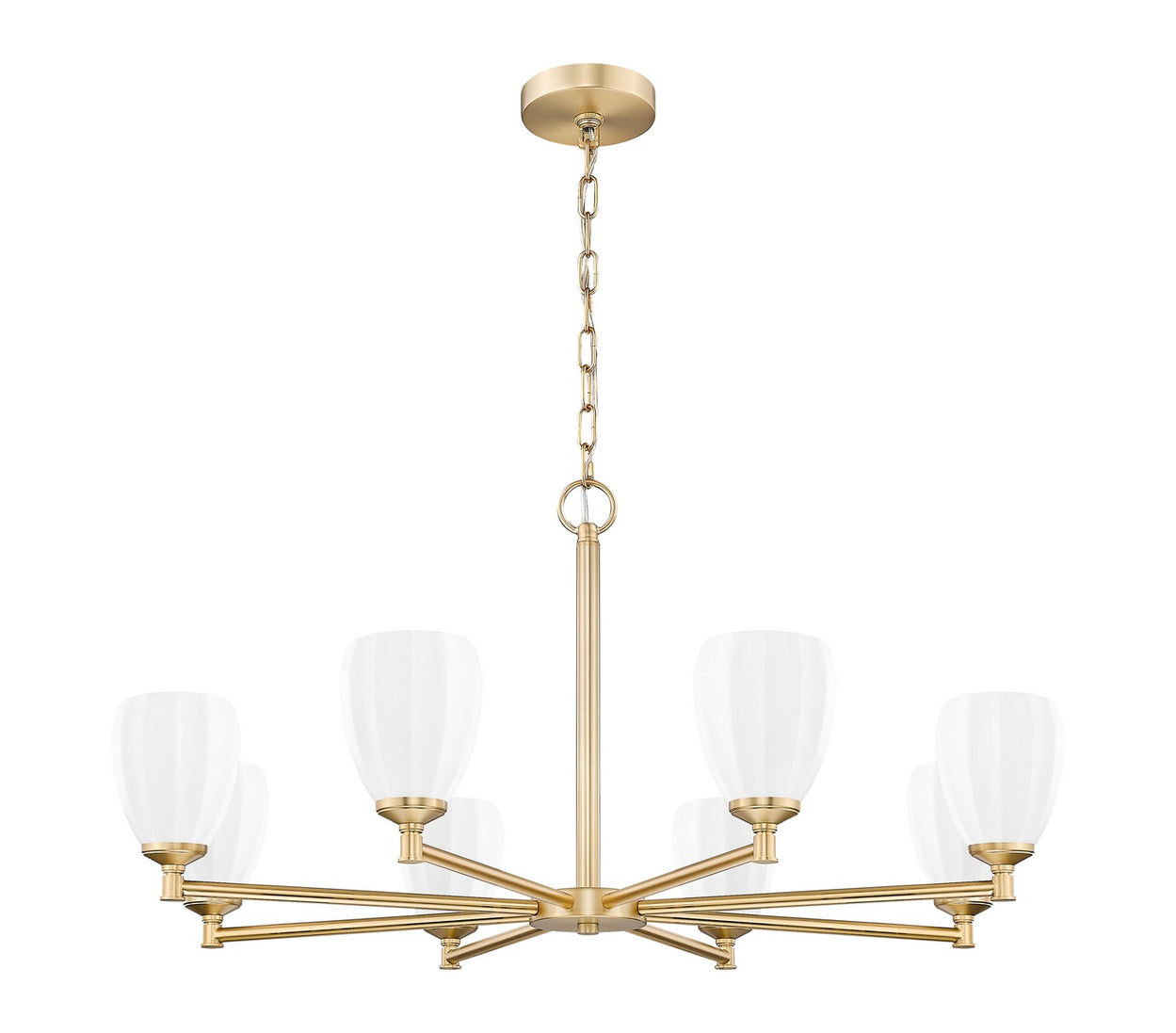Z-Lite - 7004-8MGLD - Eight Light Chandelier - Oren - Modern Gold