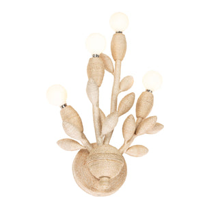 Kalco - 527021WIV - Four Light Wall Sconce - Branche - Warm Ivory