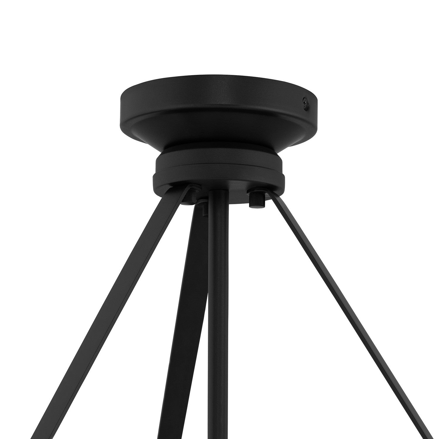 Progress Lighting - P500507-031 - Two Light Convertible Pendant - Lieon - Black