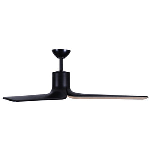 Tempri Ceiling Fan
