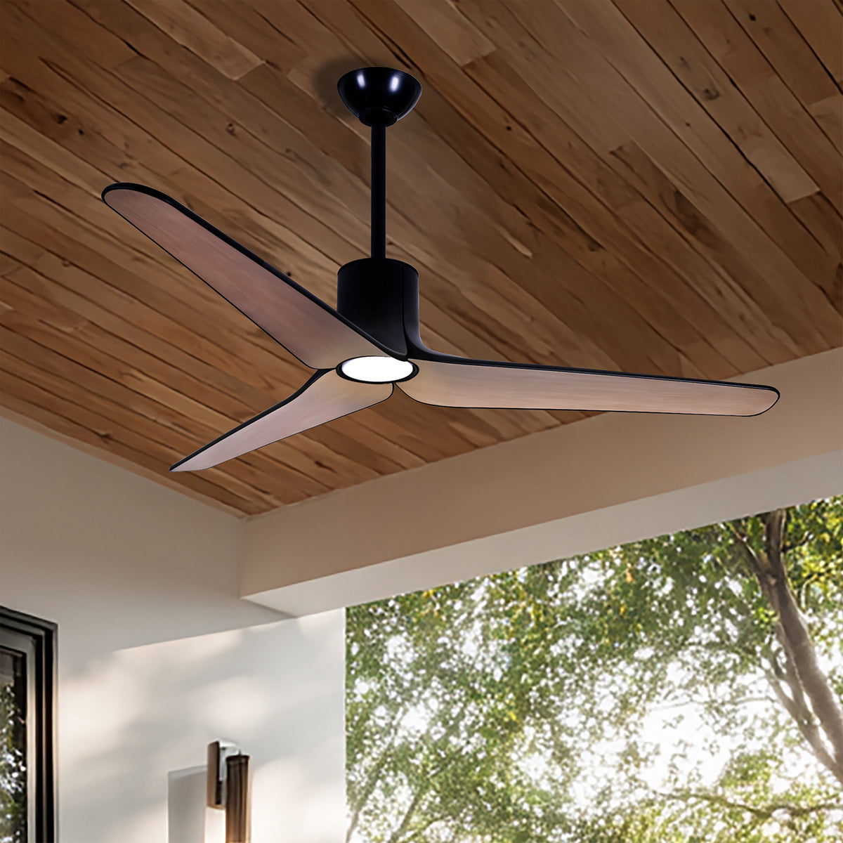Tempri Ceiling Fan