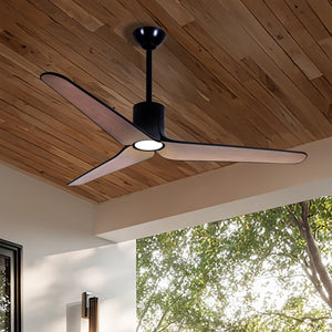 Tempri Ceiling Fan