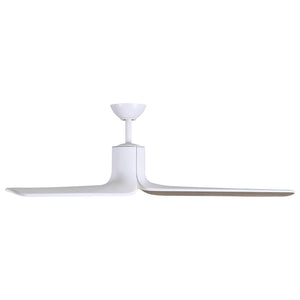 Tempri Ceiling Fan