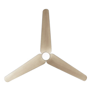 Tempri Ceiling Fan