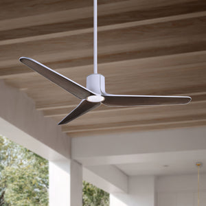Tempri Ceiling Fan