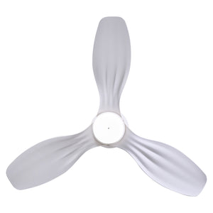 Ventiara Ceiling Fan