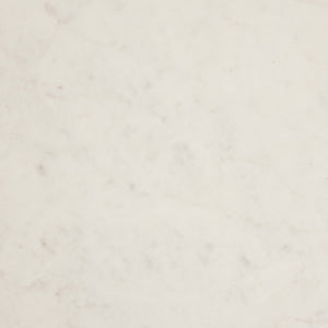 Arteriors - FCI31 - Coffee Table - Rinny - White