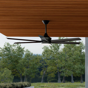 Solen Ceiling Fan