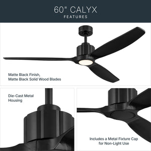 Calyx Ceiling Fan