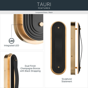Tauri Wall Sconce
