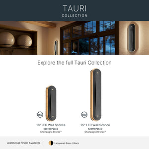 Tauri Wall Sconce