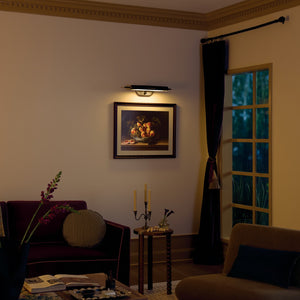 Caillier Picture Light