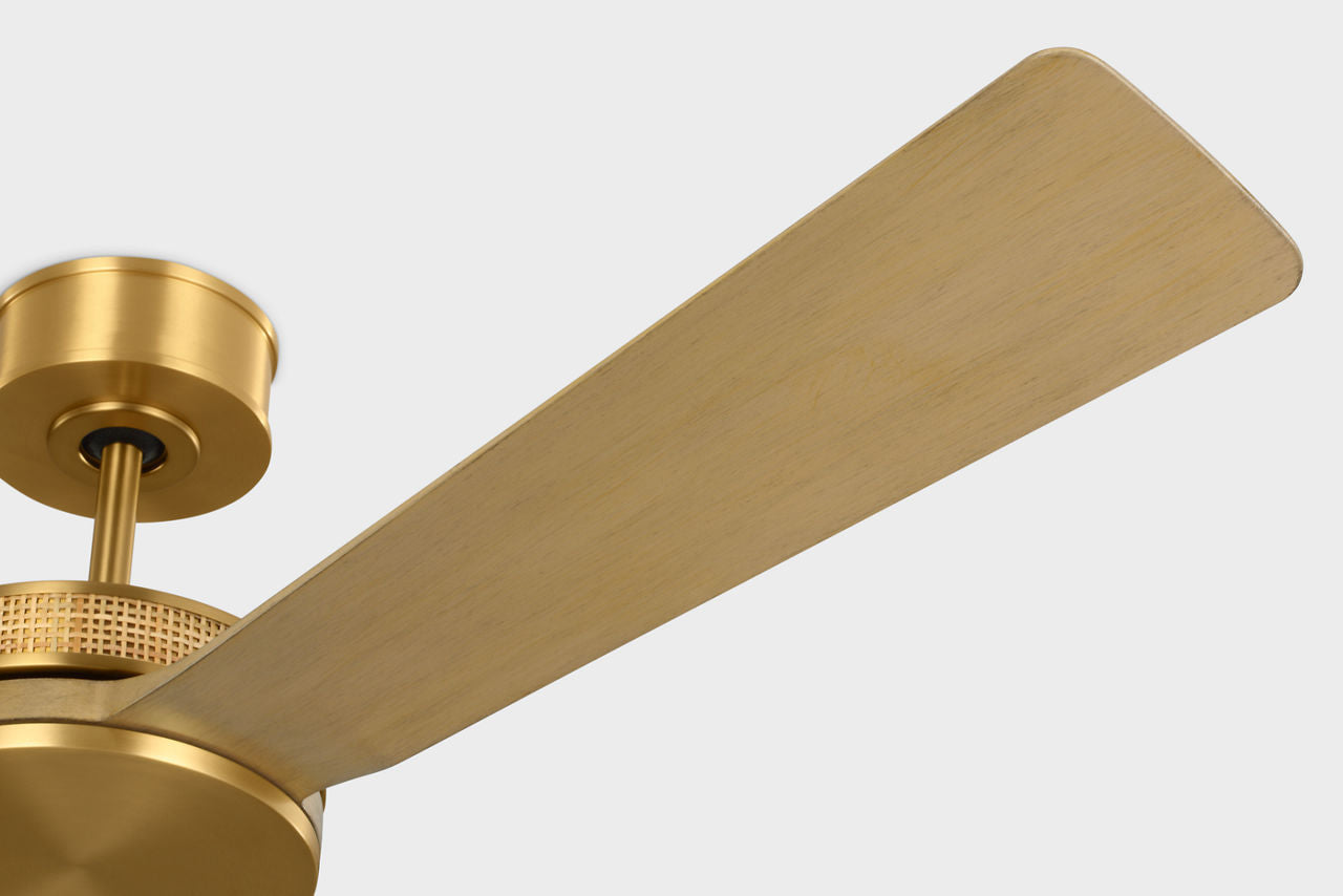 Visual Comfort Fan - 3ELASM56BBSNH - 56" Ceiling Fan - Elara - Burnished Brass