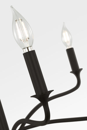 Visual Comfort Studio - AC1226AI - Six Light Chandelier - Chatsworth - Aged Iron | Aged Iron