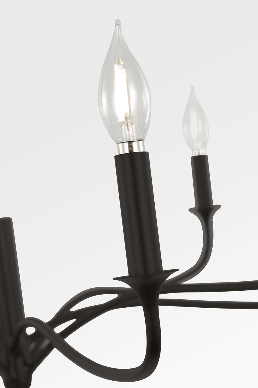 Visual Comfort Studio - AC1218AI - Eight Light Chandelier - Chatsworth - Aged Iron | Aged Iron