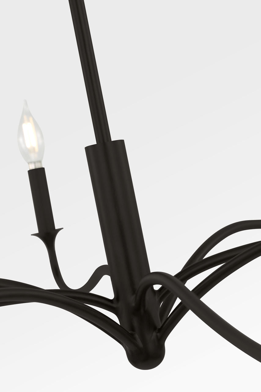 Visual Comfort Studio - AC1218AI - Eight Light Chandelier - Chatsworth - Aged Iron | Aged Iron