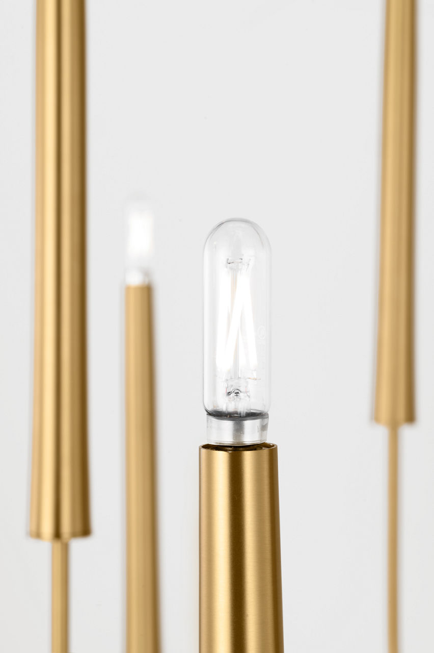 Visual Comfort Studio - EC11812BBS - 12 Light Chandelier - Lois - Burnished Brass | Burnished Brass