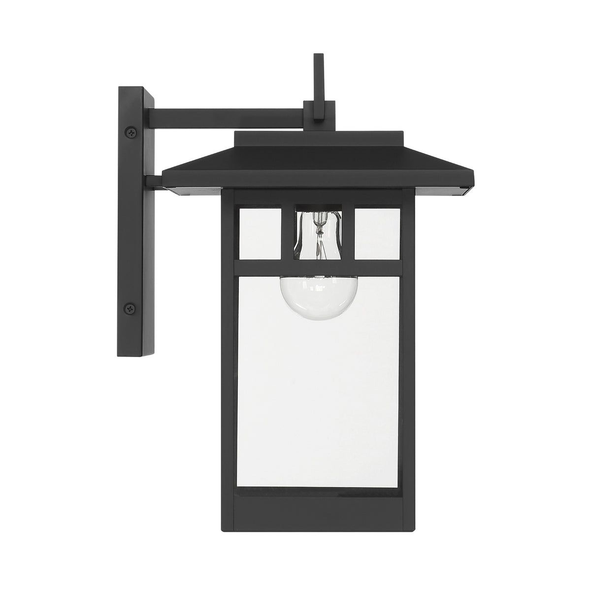 Hunter - 46070 - One Light Outdoor Wall Mount - Yancy House - Matte Black