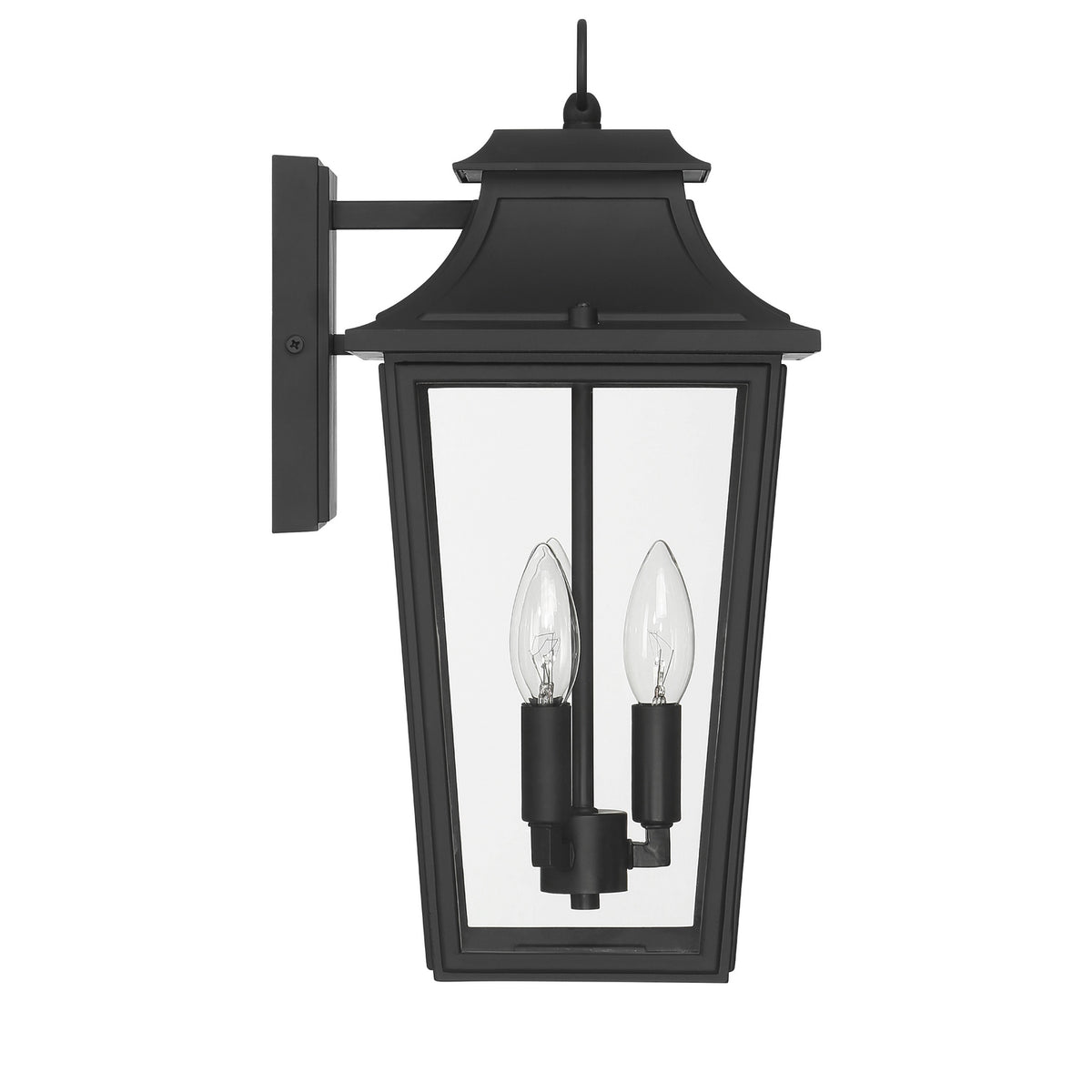 Hunter - 46080 - One Light Outdoor Wall Mount - Spring Cove - Matte Black