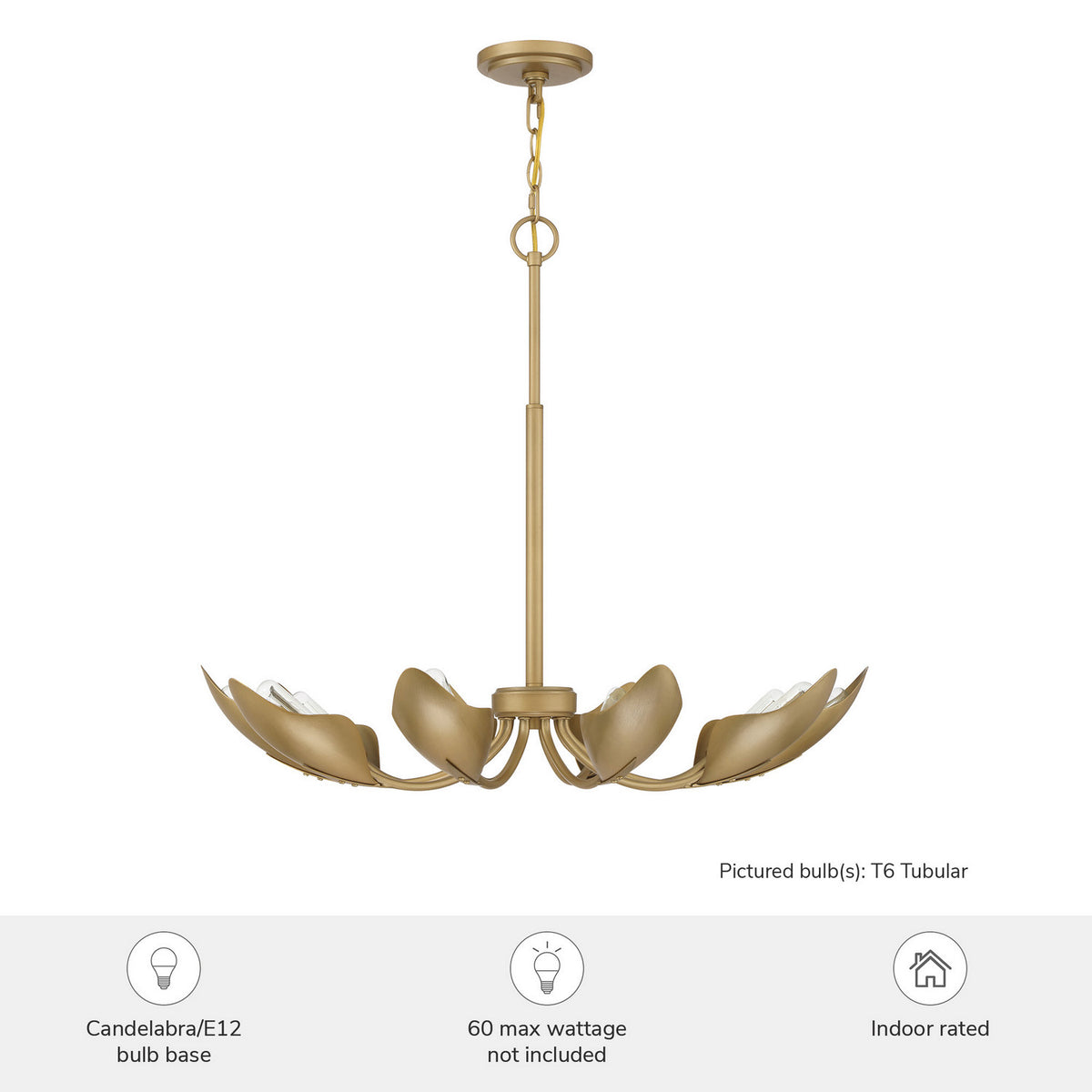 Hunter - 48222 - Ten Light Chandelier - Juneway - Matte Black