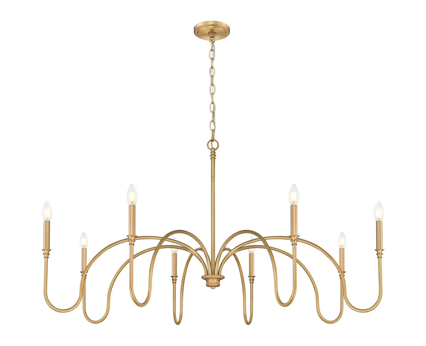 Z-Lite - 4505-8RB - Eight Light Chandelier - Jisele - Rubbed Brass