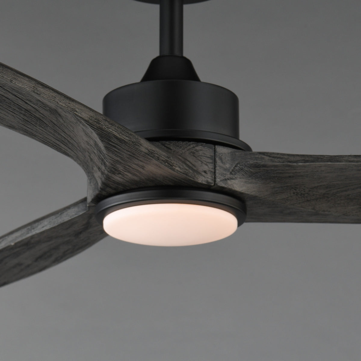 Maxim - 88831WTBKGWD - 52" Ceiling Fan - Woodwind - Black