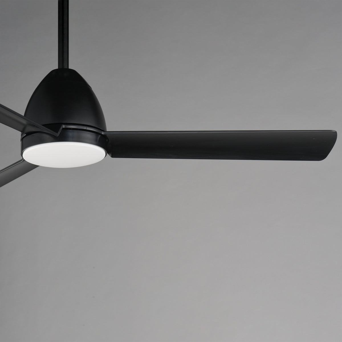 Maxim - 88723BK - 52" Ceiling Fan - Seaborne - Black