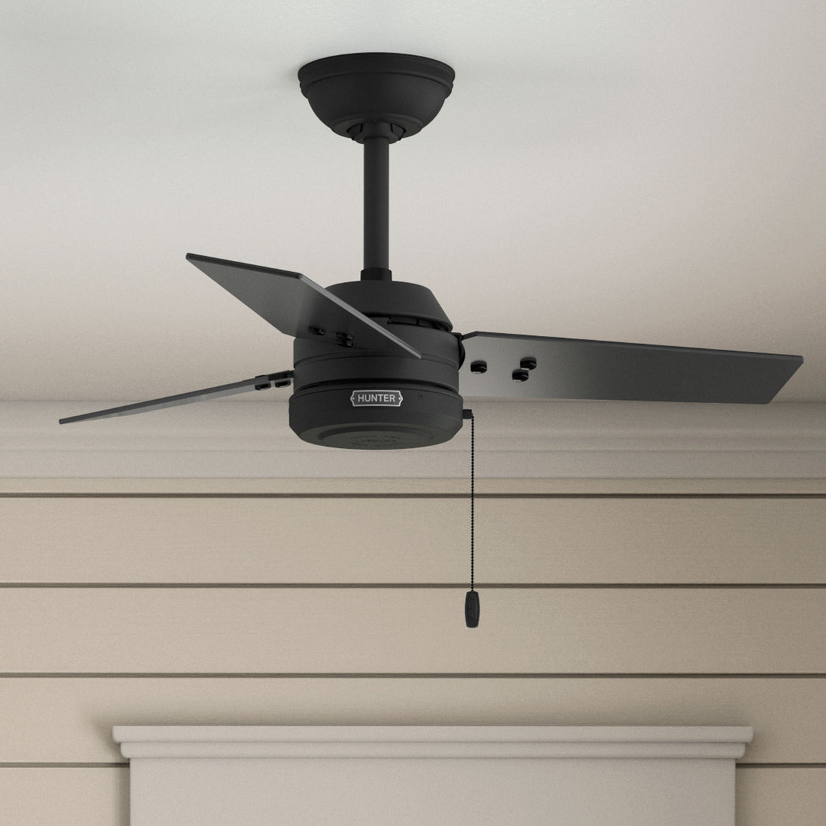 Hunter - 50318 - 36" Ceiling Fan - Cassius - Noble Bronze