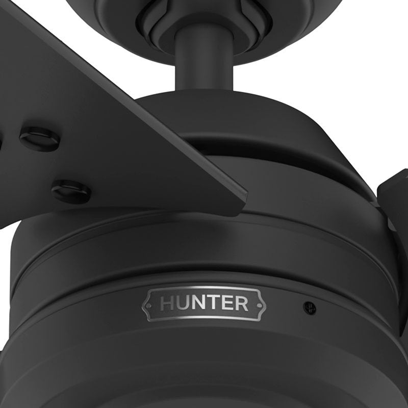 Hunter - 50318 - 36" Ceiling Fan - Cassius - Noble Bronze