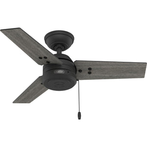 Hunter - 50318 - 36" Ceiling Fan - Cassius - Noble Bronze