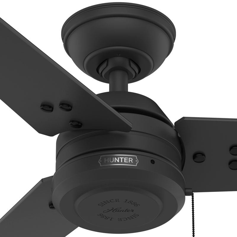 Hunter - 50318 - 36" Ceiling Fan - Cassius - Noble Bronze