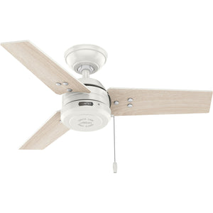 Hunter - 50318 - 36" Ceiling Fan - Cassius - Noble Bronze