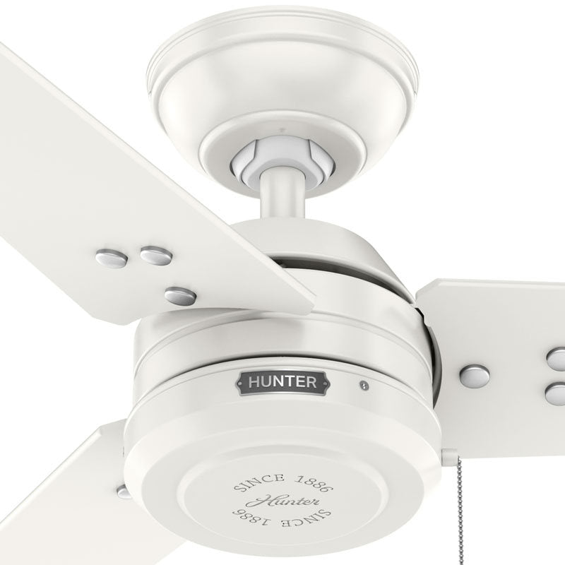 Hunter - 50318 - 36" Ceiling Fan - Cassius - Noble Bronze