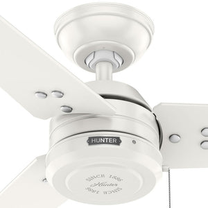 Hunter - 50318 - 36" Ceiling Fan - Cassius - Noble Bronze