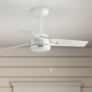 Hunter - 50318 - 36" Ceiling Fan - Cassius - Noble Bronze