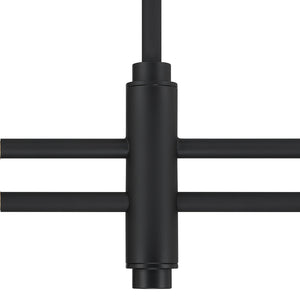 Hunter - 13252 - Two Light Chandelier - Camelia Stem - Matte Black