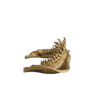 Arteriors - ASI23 - Sculpture - Mako - Antique Brass
